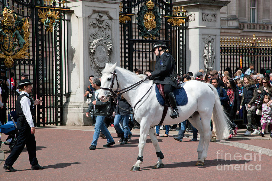 Buckingham Palace Guards On Horses