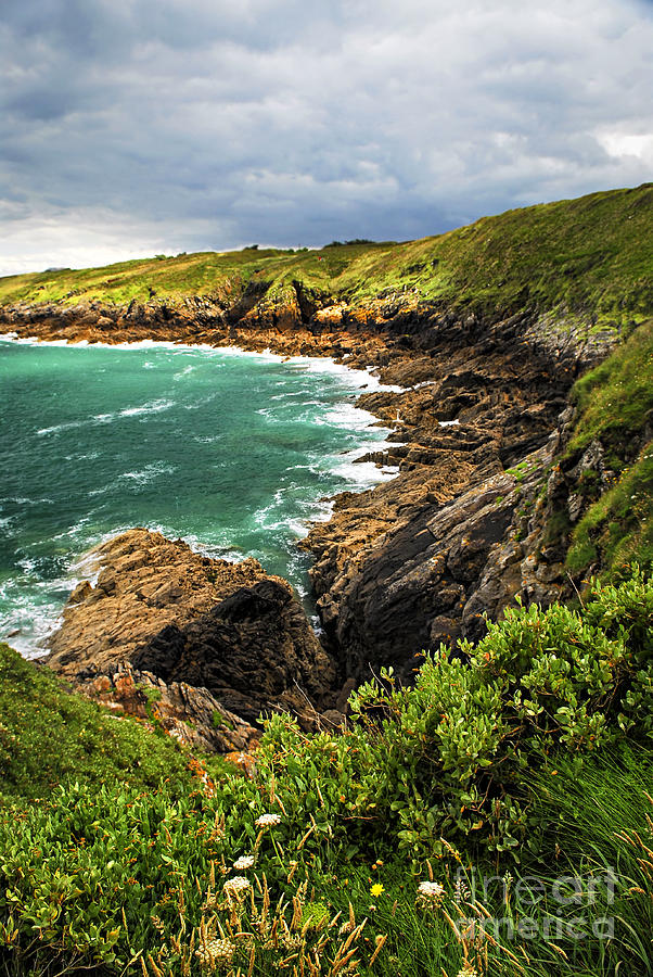 Brittany coast Photograph by Elena Elisseeva