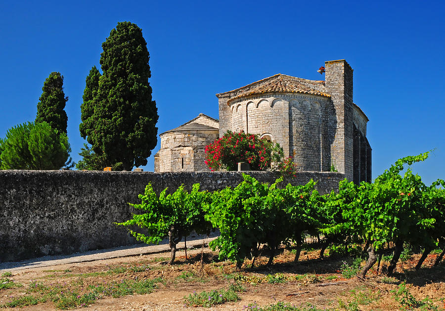Brittany Vineyard and Monastery  Photograph by Dave Mills