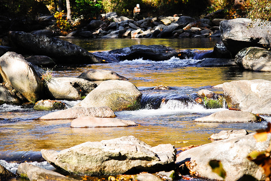 Broad River Photograph by Becky Anders Fine Art America
