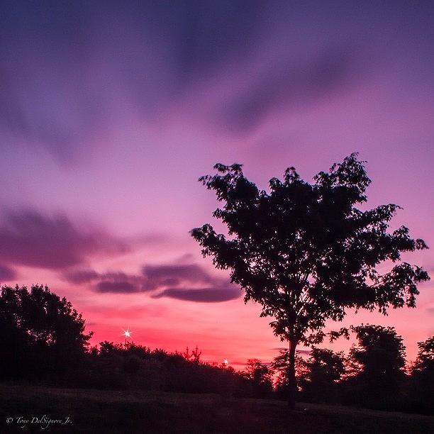 Broad Run Farms Sunset [2 Minute Photograph by Tony Delsignore