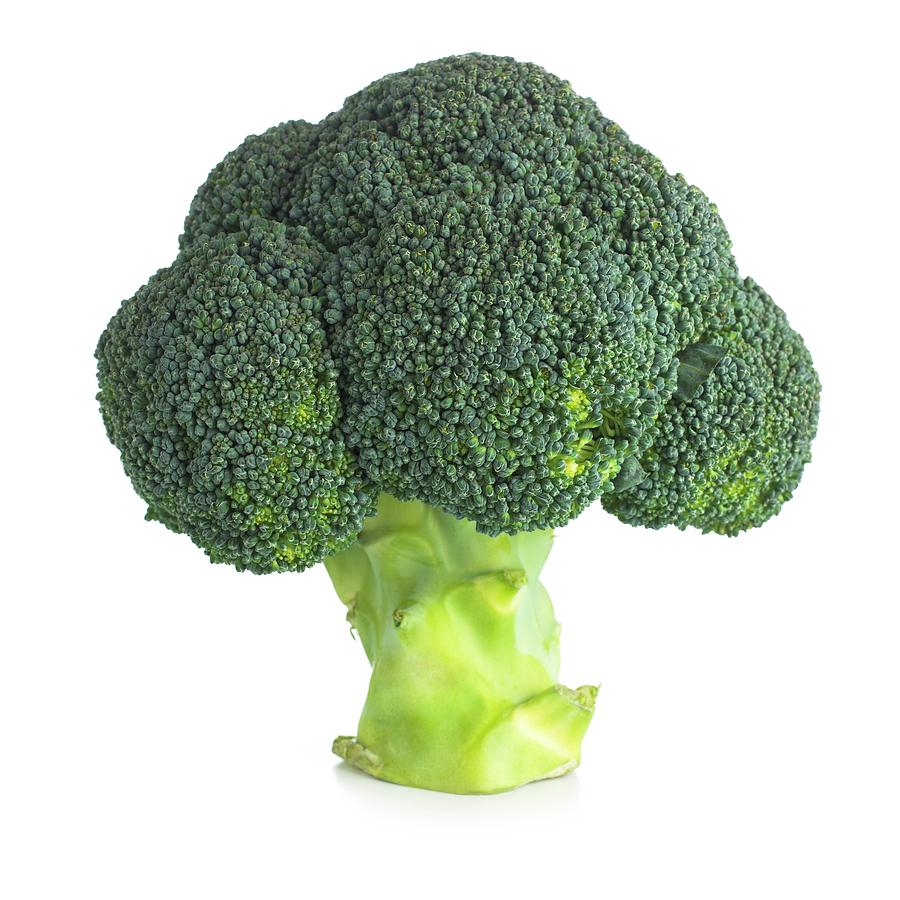 Broccoli Photograph - Broccoli by Science Photo Library