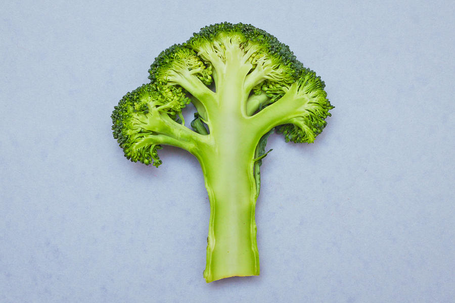 Broccoli Photograph - Broccoli by Tom Gowanlock