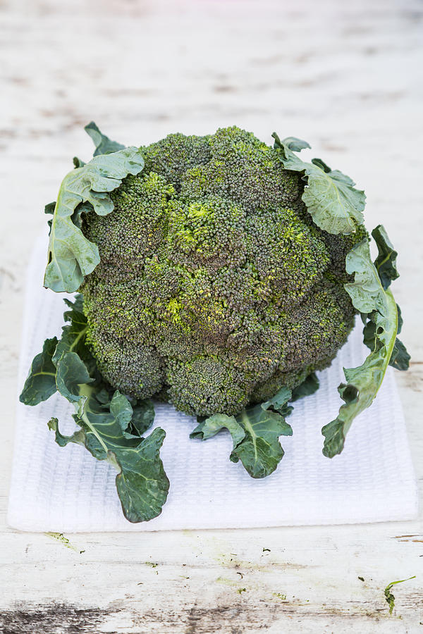 Broccoli Photograph by Voisin/Phanie