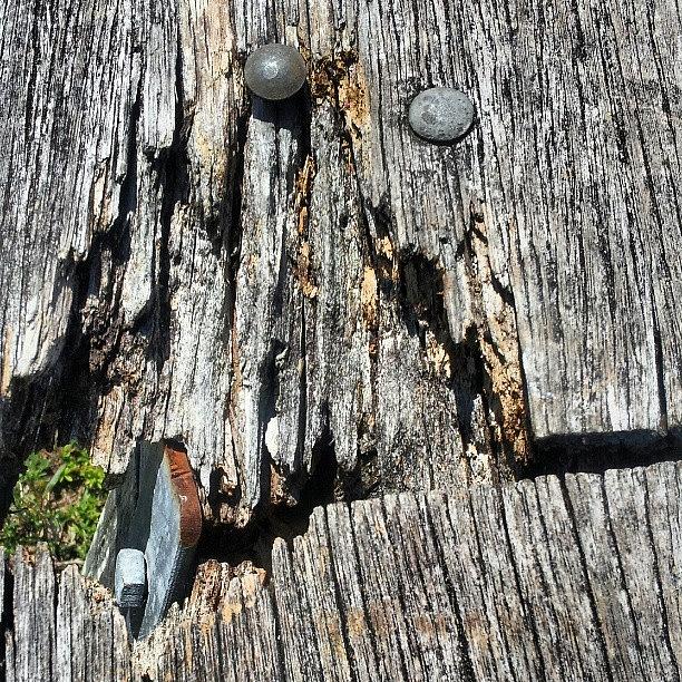 Broken / Wood / Railing Photograph by Elisa Franzetta