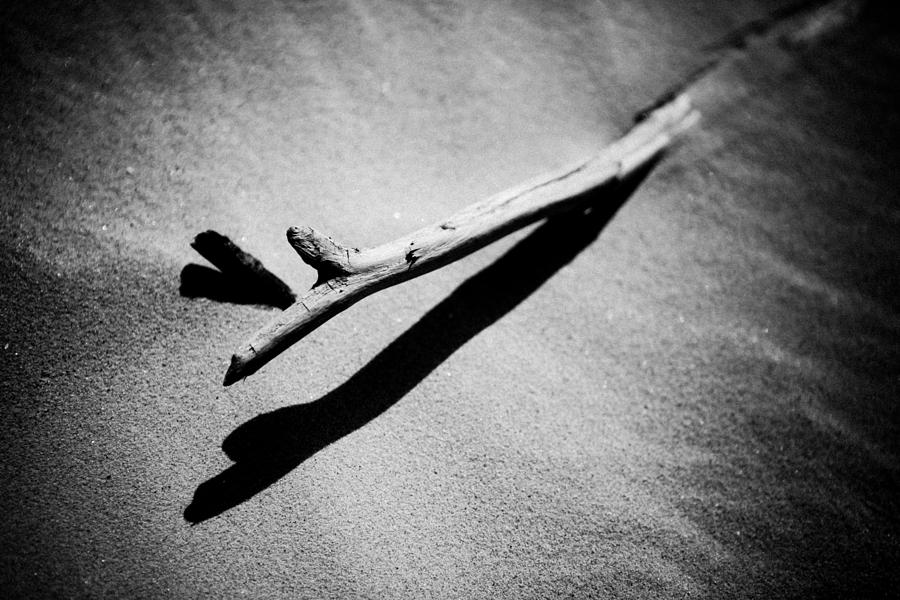 broken branch SEA HARVEST zenlike Photograph by Raimond Klavins