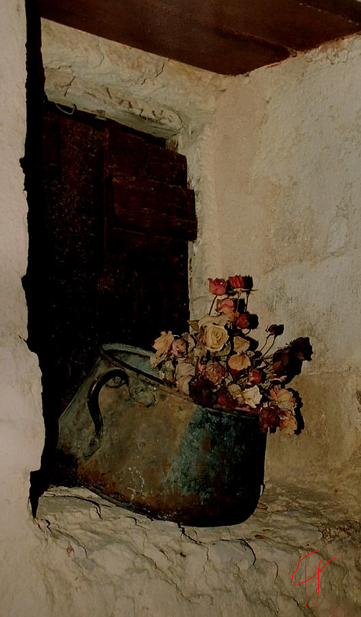 Flower Photograph - Broken Dreams by Colette V Hera Guggenheim