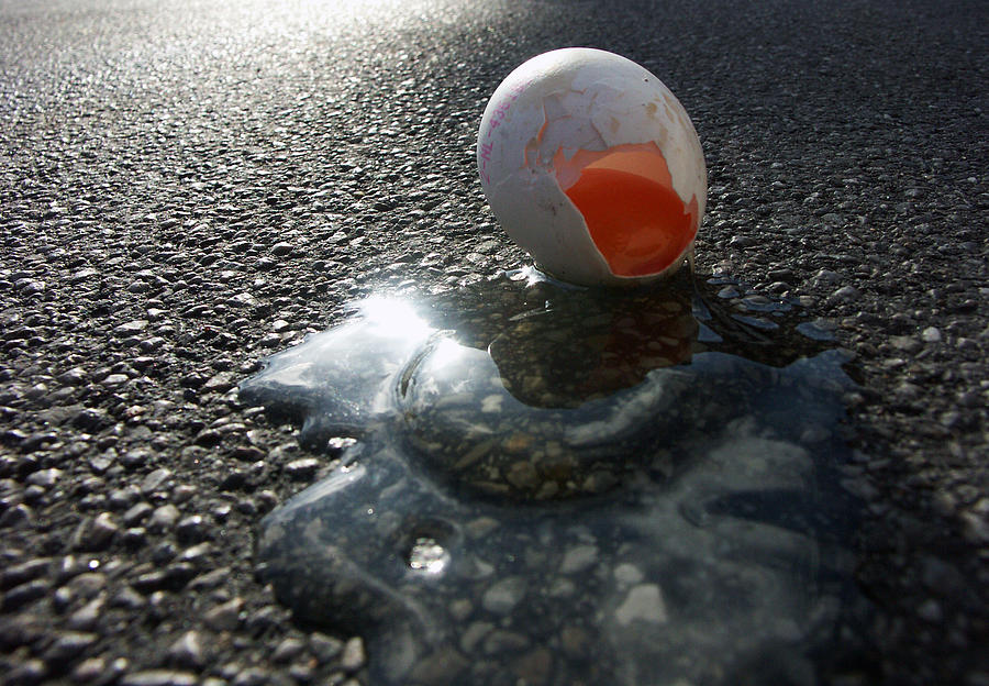 Broken egg Photograph by Matthias Hauser