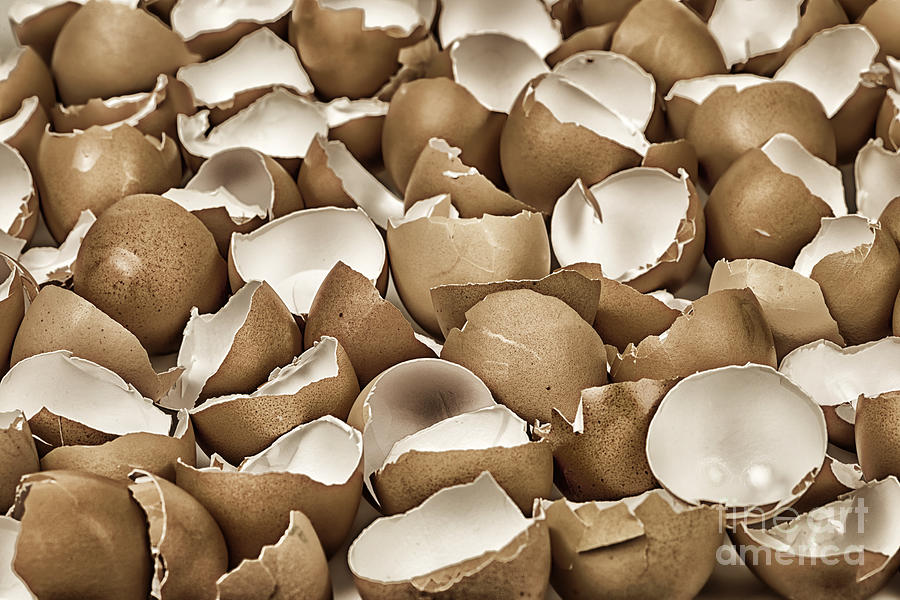 Broken eggshells 2 Photograph by Elena Elisseeva