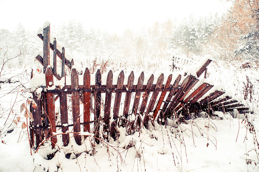 Winter Photograph - Broken Fence in Winter by Jenny Rainbow