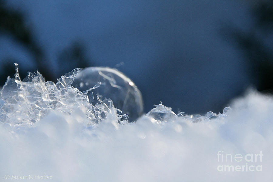 Broken Frozen Photograph by Susan Herber