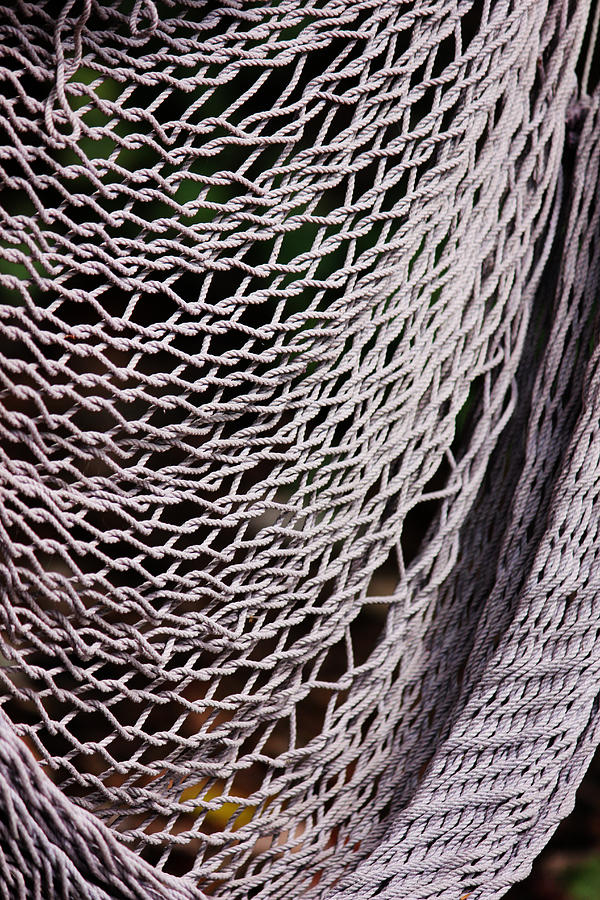 Broken Hammock Photograph by Camille Watson - Fine Art America