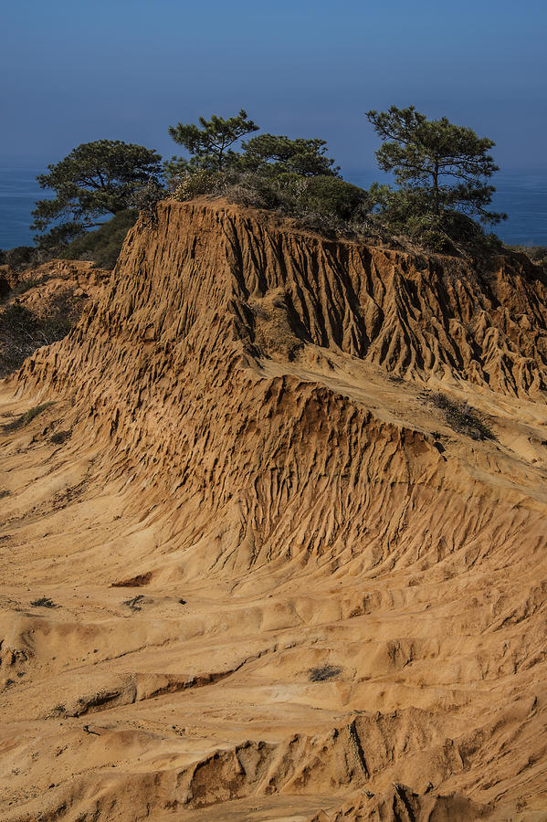 San Diego Photograph - Broken Hill Torrey Pines 1 by Lee Kirchhevel