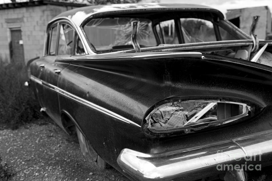 Broken Impala Photograph by Rick Pisio