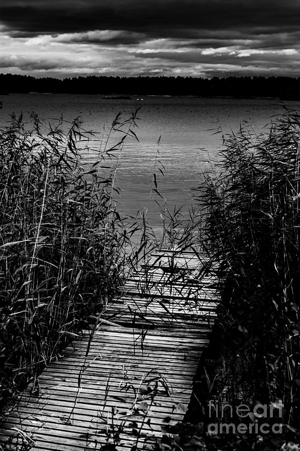 Broken Jetty Onto Lake Through Reeds Photograph by Peter Noyce
