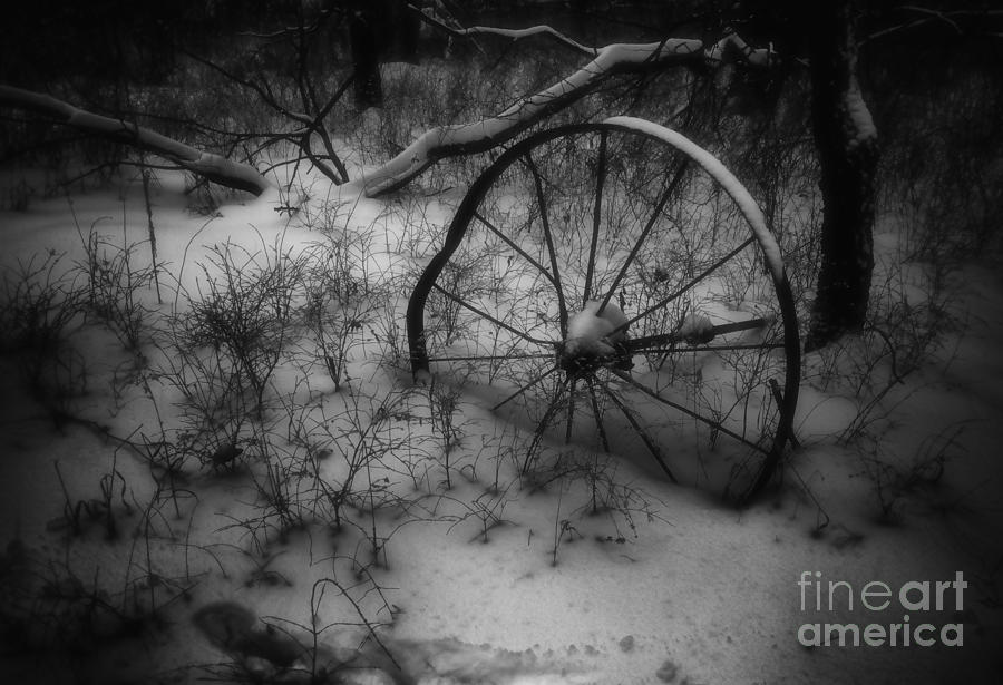 Broken Wheel Photograph by Fred Lassmann