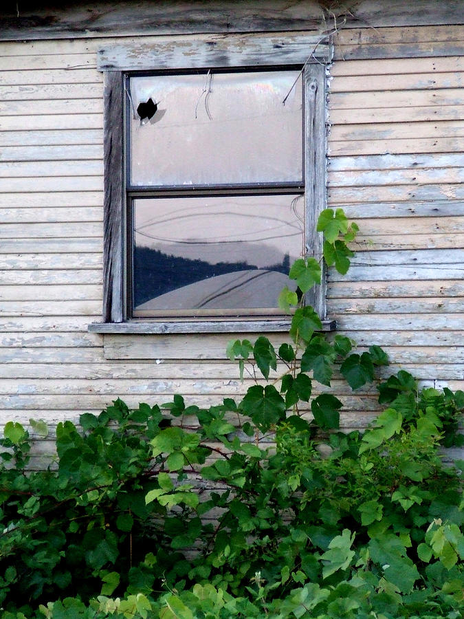 Broken Window Photograph by Everett Bowers