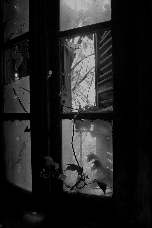 Broken Window Photograph - Broken window by Gabriele Zucchella