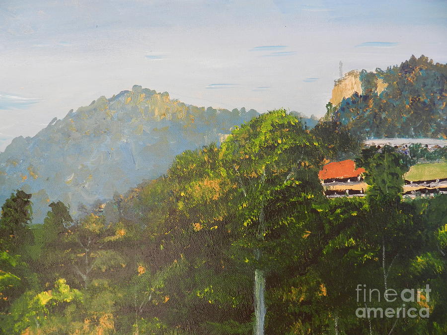 Impressionism Painting - Brokers Nose on the Illawarra Escarpement by Pamela  Meredith