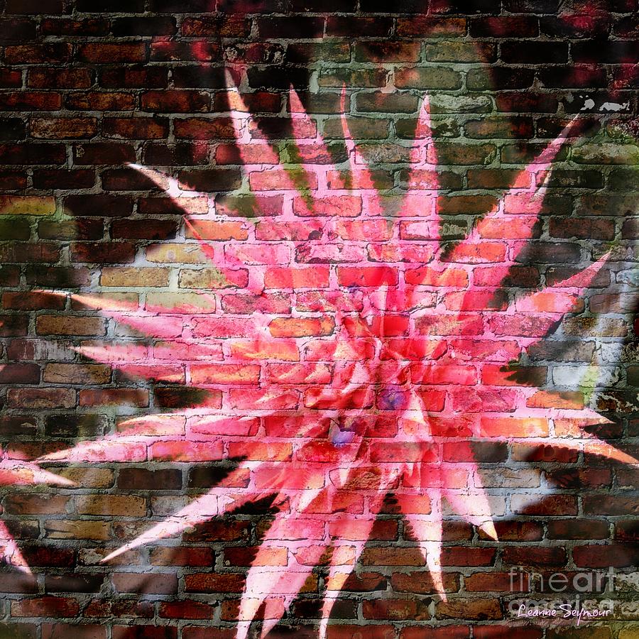Bromeliad On The Wall Mixed Media by Leanne Seymour