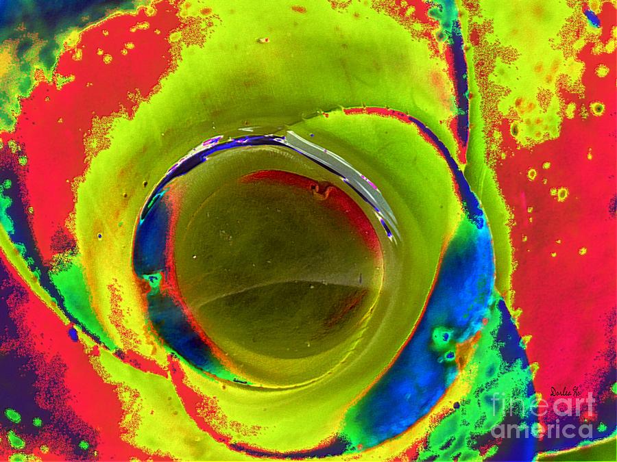 Hawaii Digital Art - Bromeliad Water Bowl by Dorlea Ho