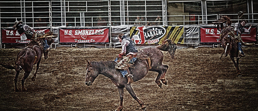 Bronco Bucking Cowboy Photograph by D L McDowell-Hiss
