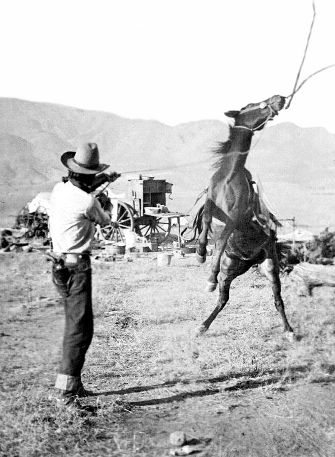 Bronco Busting, 1910 Photograph by Science Source