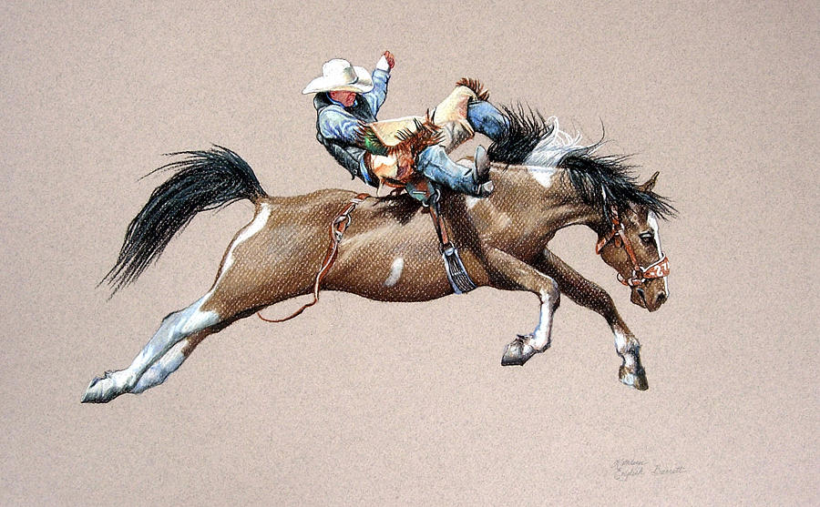 bronco horse sketch