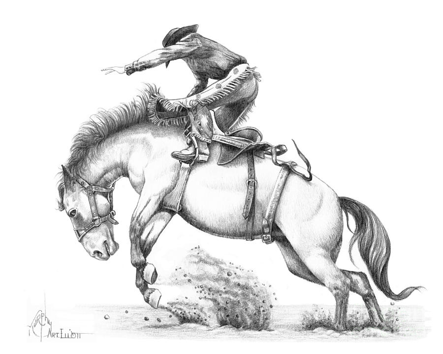 Bronco Drawing by Murphy Elliott