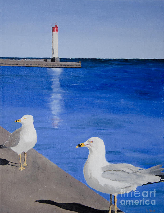 Bronte Lighthouse Gulls In Oil Painting