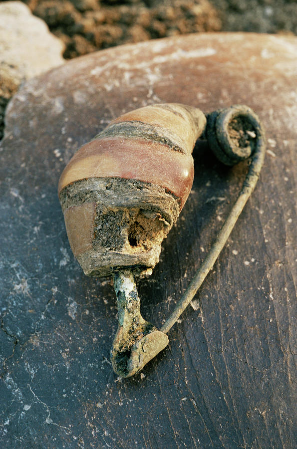 Bronze Age Bone Ornament Photograph by Pasquale Sorrentino/science Photo Library