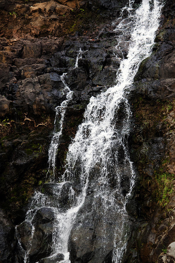 Bronze Falls Photograph by Edward Hawkins II