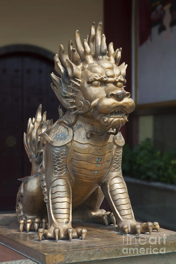 Bronze Lion, Guilin, China Photograph by David Davis