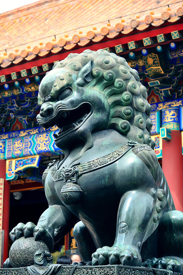 Bronze lion statue Photograph by Songquan Deng