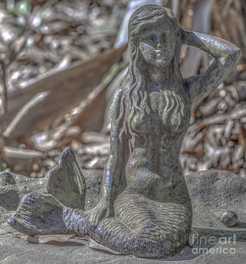 Bronze Mermaid Photograph by Dale Powell