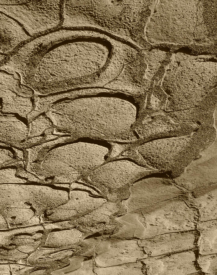 Bronze Mud Patterns #2 Photograph by Tom Daniel
