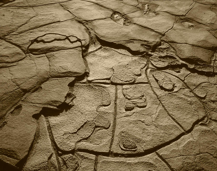 Bronze Mud Patterns #3 Photograph by Tom Daniel