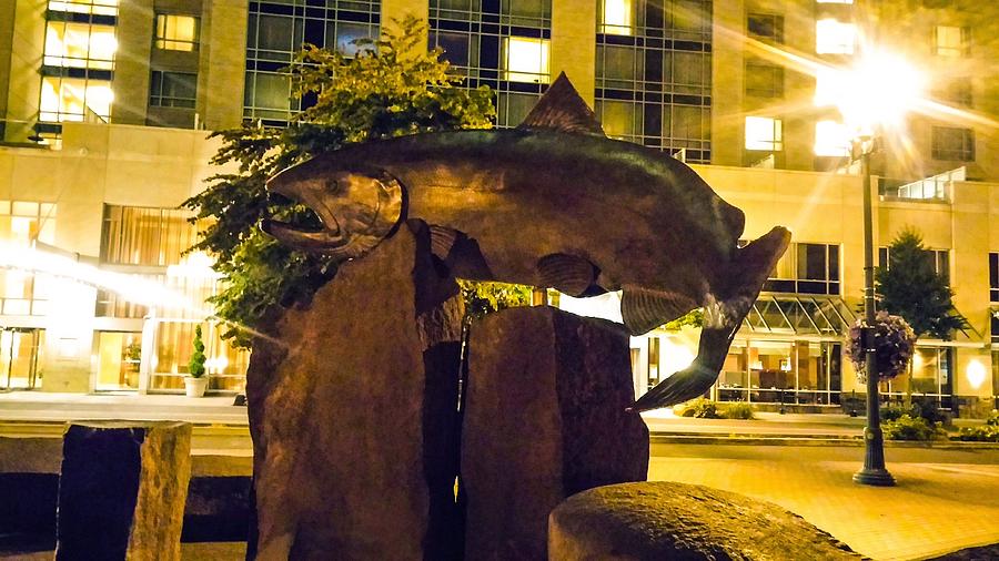 Bronze Salmon Photograph by Melissa Coffield | Fine Art America