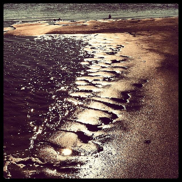 Nature Photograph - Bronze Sand #lowtide #coastalliving by Monica Wilson