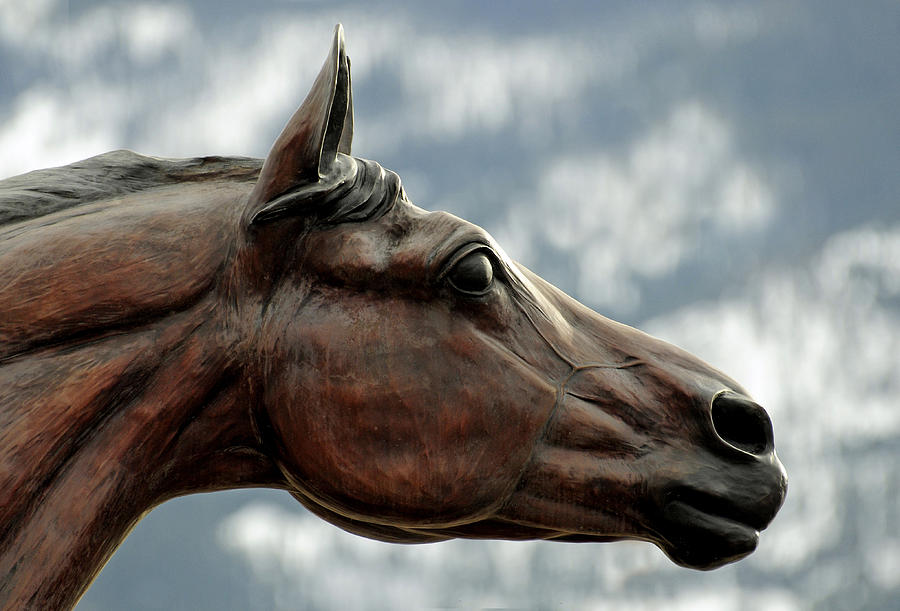 Bronze Stallion, Joseph Oregon Photograph by Theodore Clutter