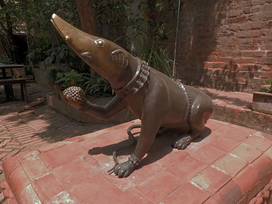 Dog Photograph - Bronze Statue by Pema Hou