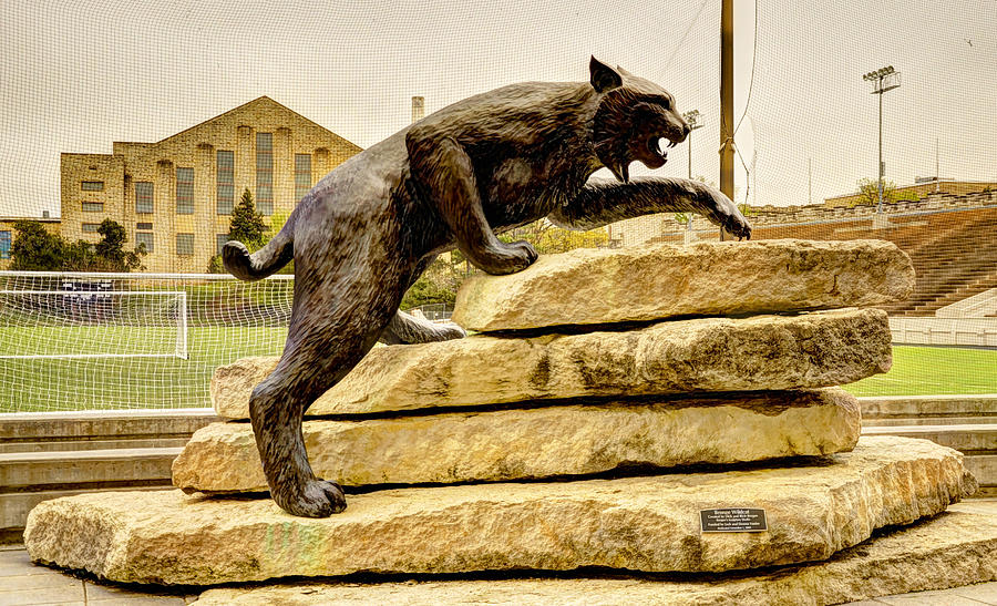 Kansas State Bronze Wildcat Photograph by Jean Hutchison