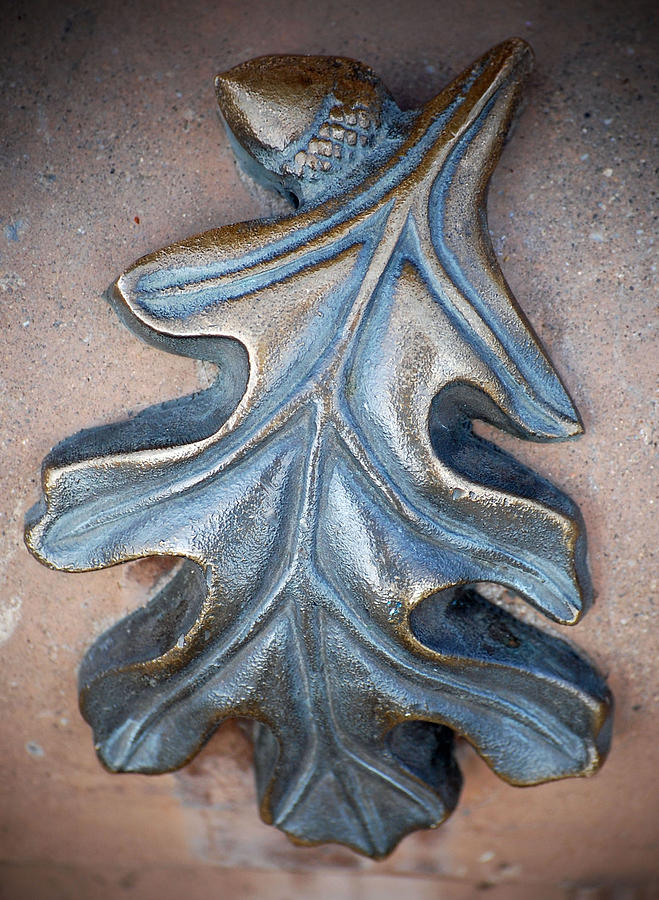 Bronzed Leaf Photograph by Holly Blunkall