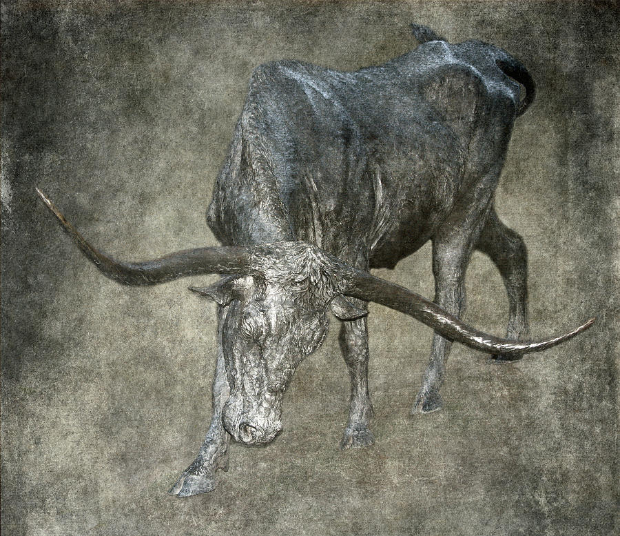Bronzed Longhorn Photograph by Angie Vogel