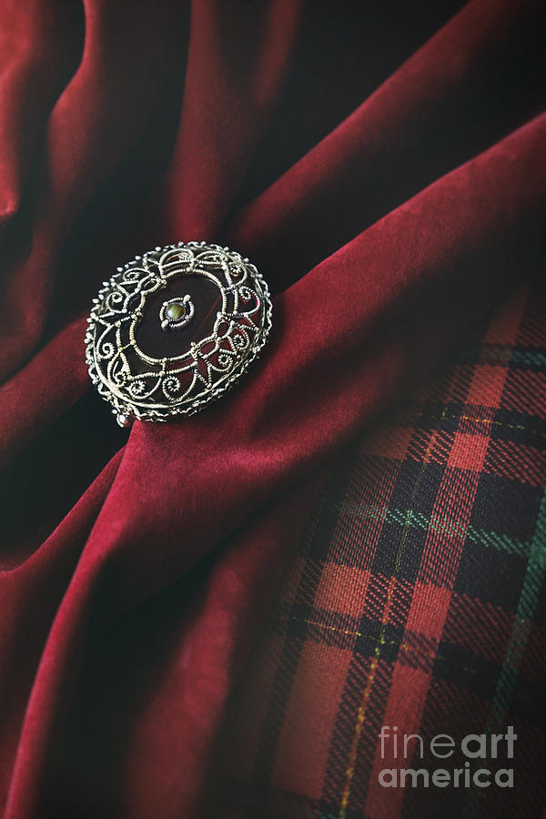 Brooch with red velvet and green plaid Photograph by Sandra Cunningham