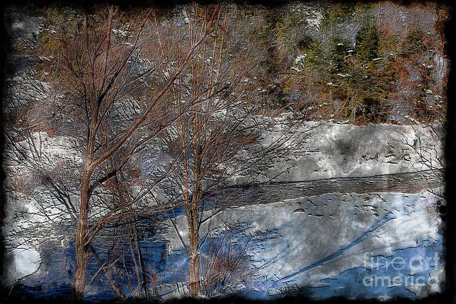 Brook and Bare Trees - Winter - Steel Engraving Photograph by Barbara A Griffin
