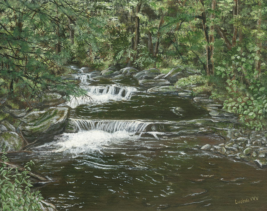 Brook in Spruceton Painting by Lucinda VanVleck