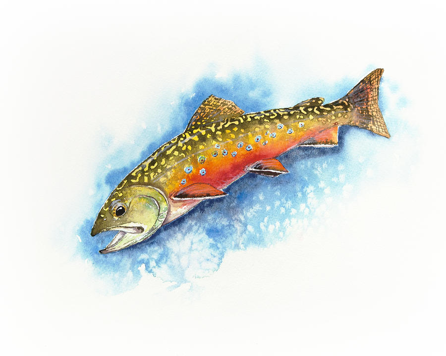 Brook Trout Painting By Joel Dejong