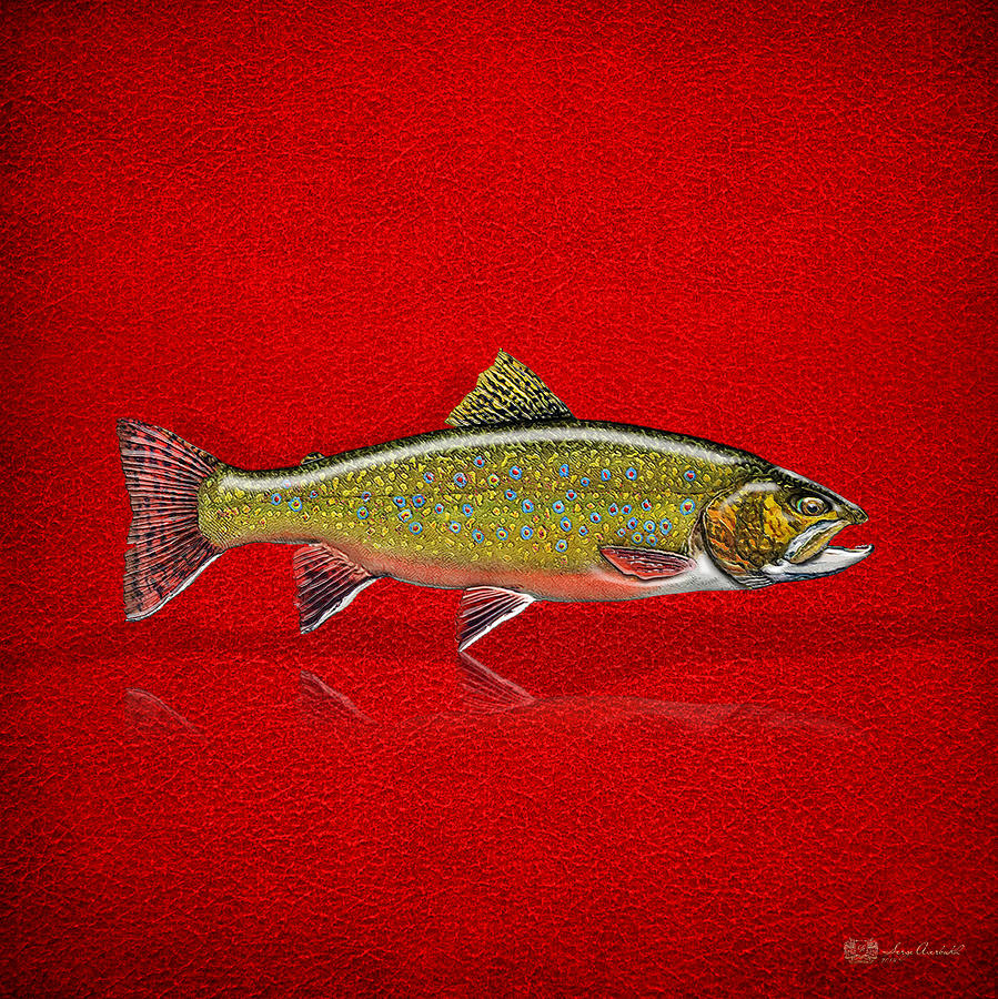 Speckled Trout Digital Art - Brook Trout on Red Leather by Serge Averbukh