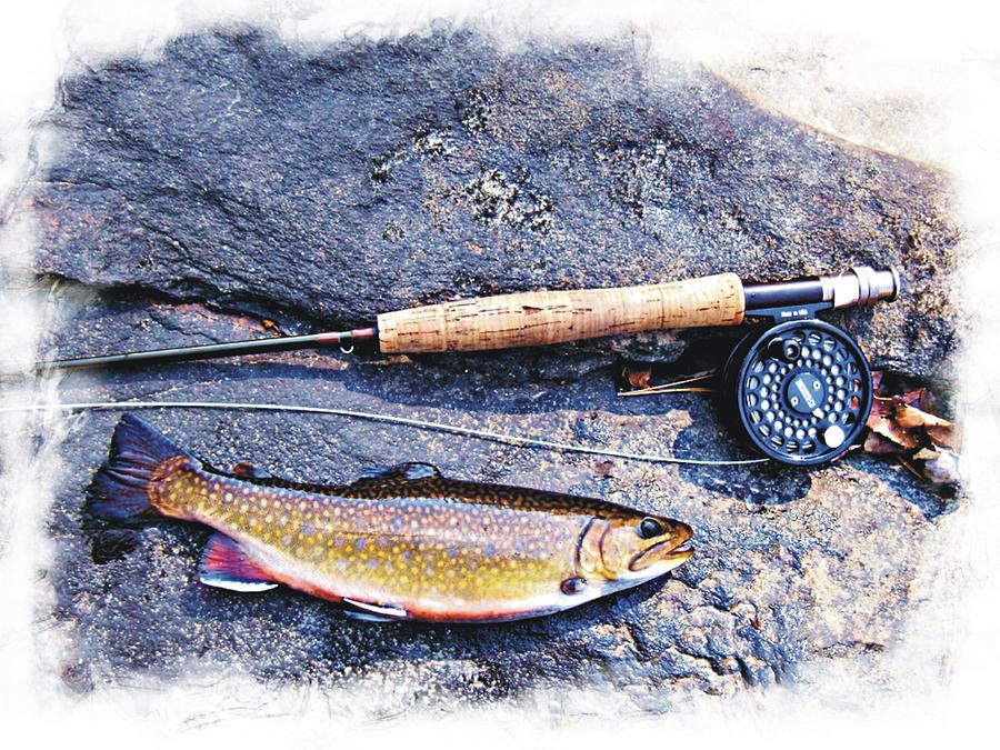 Brook Trout on the Fly Photograph by Joe Duket